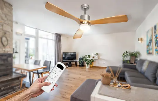 Fan and LED Light with remote.webp