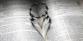 love-699480_1920.jpg
