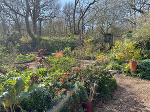 Join one of Woodlands Farm's Free Group Tours this year!