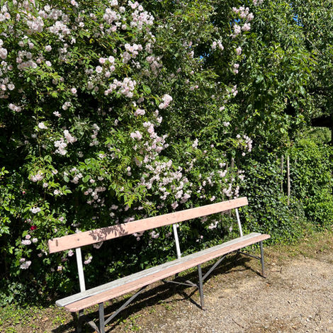 Gartenbank Rosa