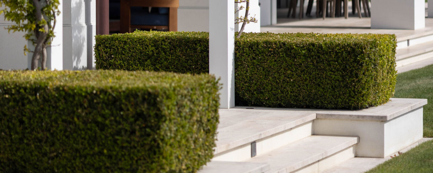 Antiqued and brushed French BV Limestone paving across the exterior of Hill Residence, New Zealand.