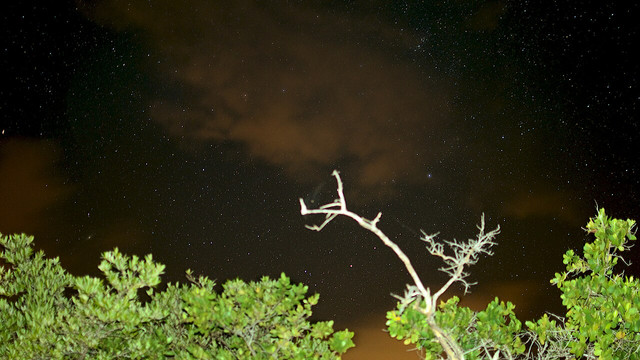 Bahía Mosquito en Vieques, Puerto Rico