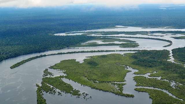 Selva amazónica en Brasil, donde la caída de la deforestación redujo las emisiones del país