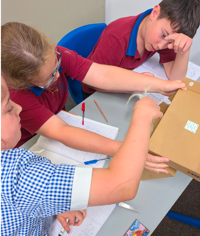 2026 Newsletter #4