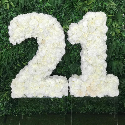 21 COSMO 3D