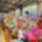 FREE Farmers Market Yoga Series