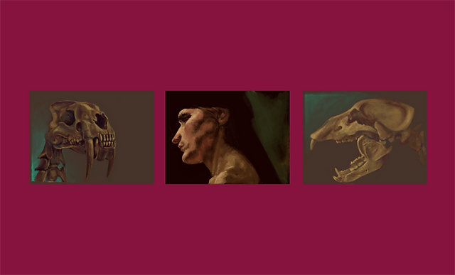 Studies