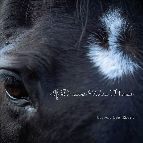 Dreams Cover Draft_edited_edited.jpg