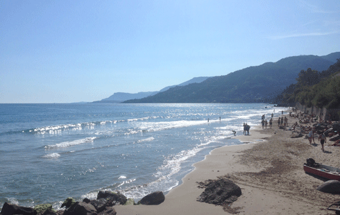 IMG_7150web.gif