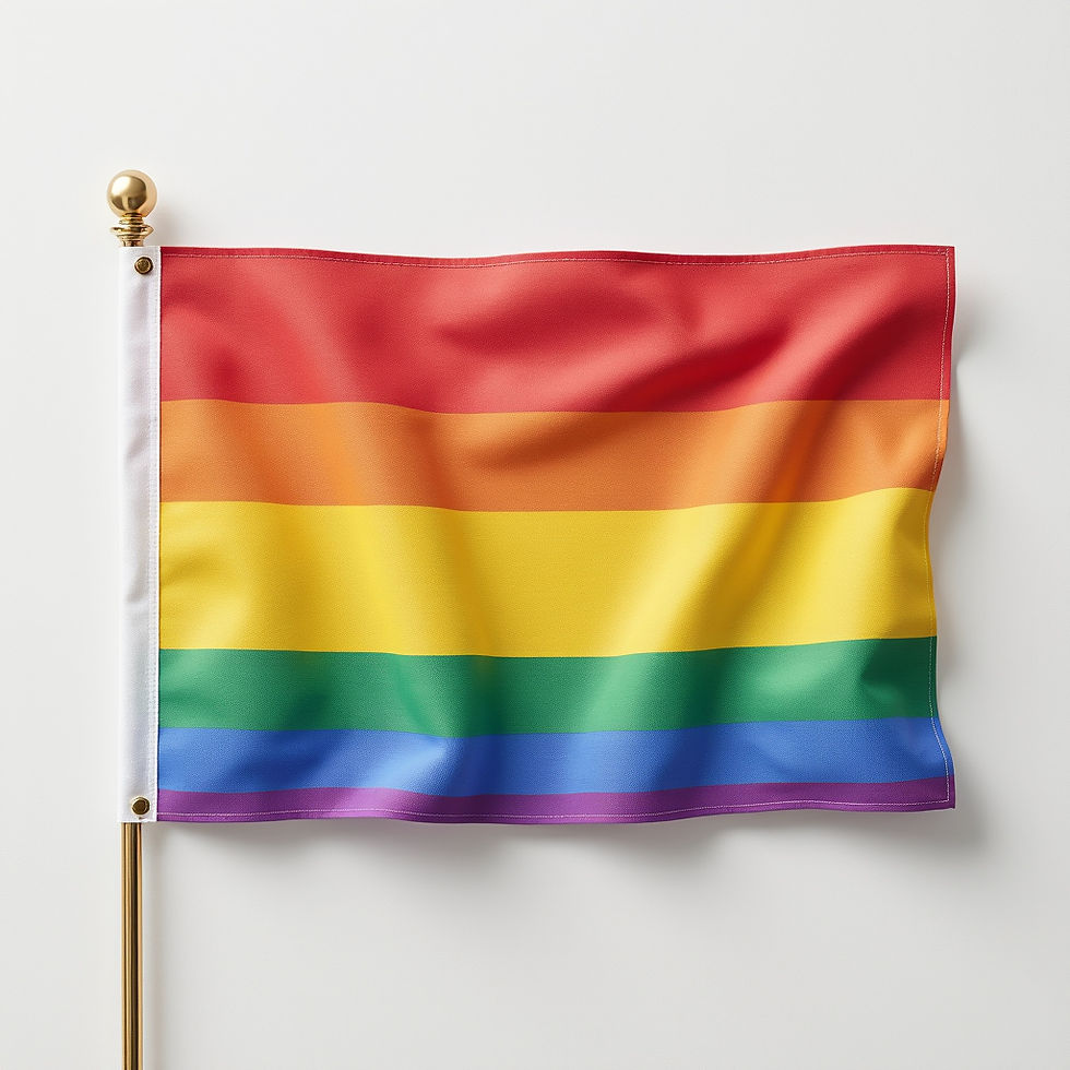 Durable Pride Flag
