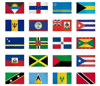 caribbean flag.webp