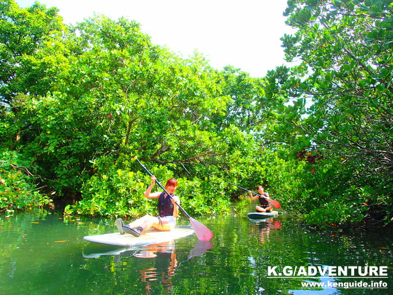 西表SUPツアー・石垣島旅行で人気の西表おすすめSUP&シャワートレック滝巡りツアー・西表島ケンガイドおすすめシャワートレック滝巡りツアーで女子旅行・家族旅行・学生旅行アクティビティ体験、SUPでマングローブ＆シャワートレックで秘境パワースポット滝巡り！本物の島旅アウトドア体験を。