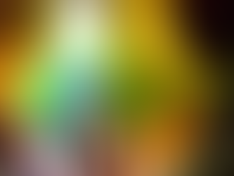 西表島で島旅を楽しもう〜🌴😀