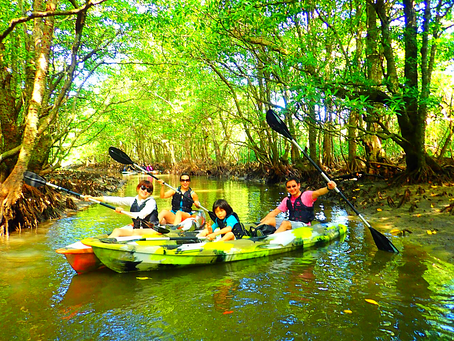 家族旅行でジャングル探検しよう〜🦎西表島