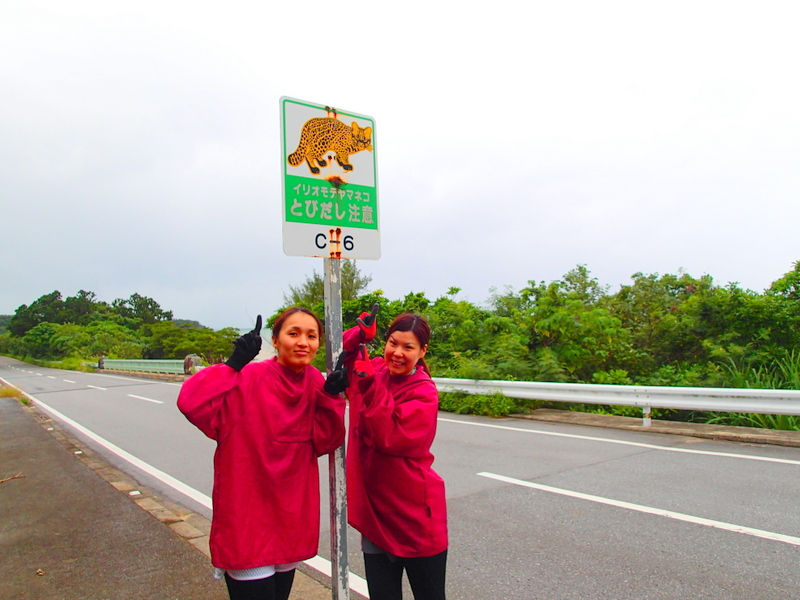 西表・石垣島旅行で西表おすすめツアー人気のケンガイドがおすすめする人気の西表カヌーでマングローブ&ジャングル探検トレッキング滝巡り!アドベンチャーボートでパナリ島シュノーケリングでニモに会おう!
