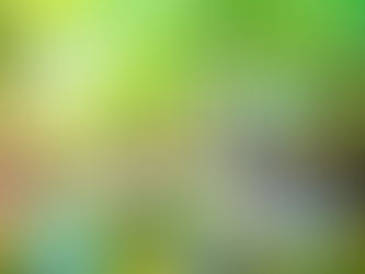 島旅で最高の思い出となる経験をしよう!