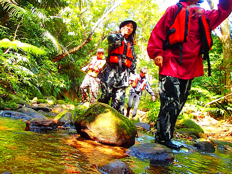 島旅で秘境の滝へトレッキングツアー体験
