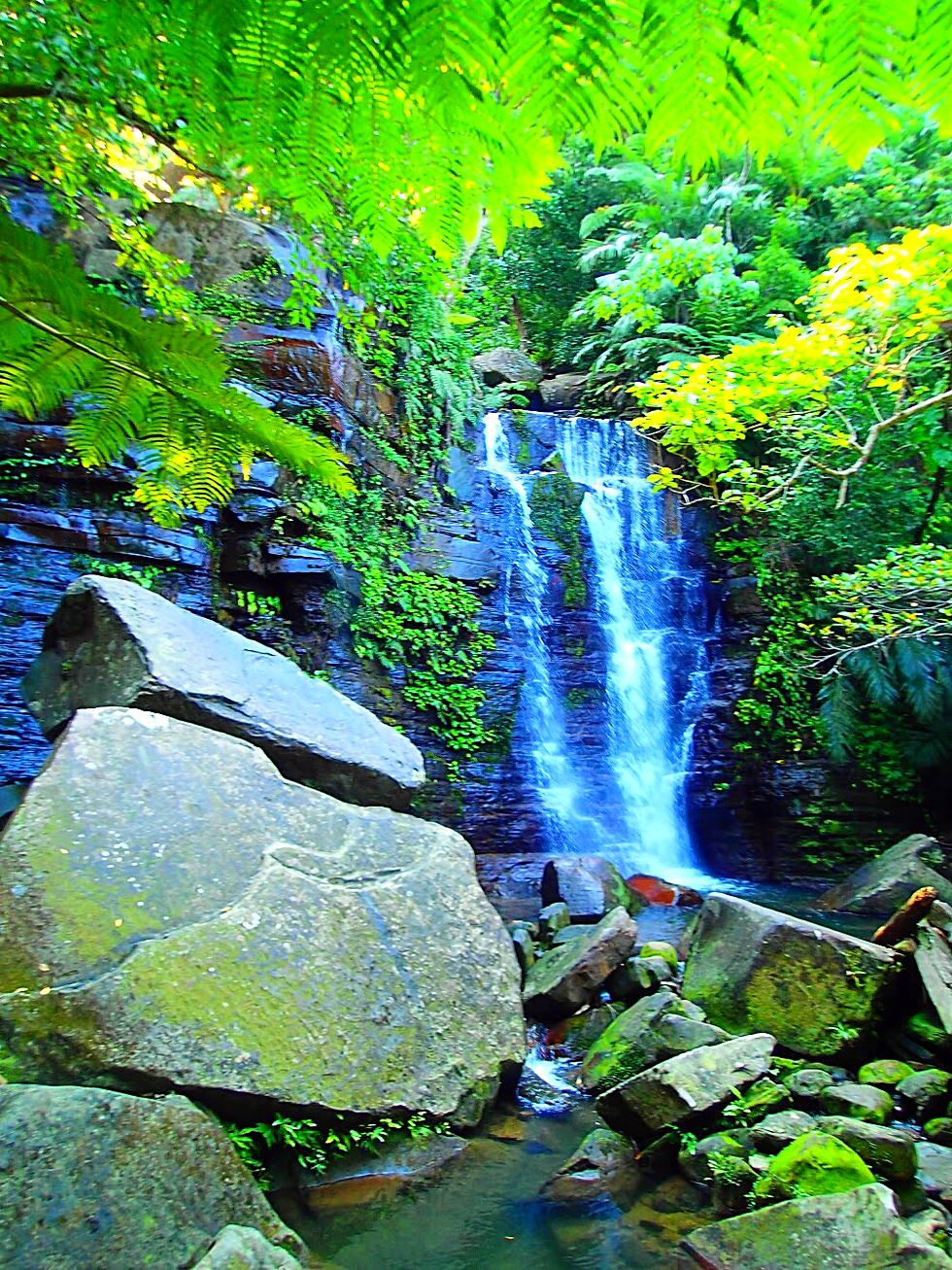 西表島旅行で人気No1のSUPツアーで2018年最高の島旅を！ケンガイドおすすめSUP秘境パワースポット巡りやシュノーケル・キャニオニングなど遊びは自由自在！女子旅行・学生旅行・家族旅行で観光アクティビティSUP体験を、西表島でSUP遊びを満喫しよう。