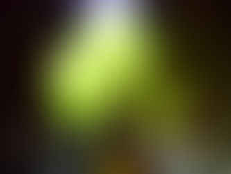 西表島ケイビング体験〜🔱