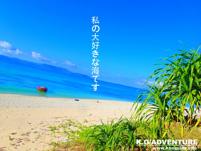 西表・石垣島旅行で西表おすすめツアー人気のケンガイドがおすすめする人気の西表カヌーでマングローブ＆ジャングル探検トレッキング滝巡り！アドベンチャーボートでパナリ島シュノーケリングでニモに会おう！