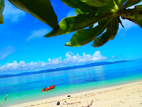 パナリブルーの海で泳ぎたい🏖西表島シュノーケル
