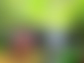 「西表だよ!新婚さん&ファミリー全員集合〜!」