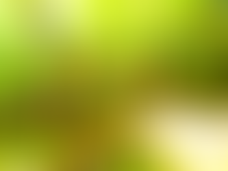 西表島でジャングル探検〜🌴