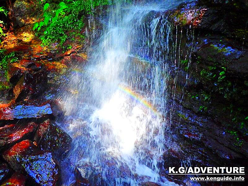 八重山諸島・西表島旅行で秘境パワースポット巡り、西表島おすすめ観光ツアー人気のケンガイドがおすすめする女子旅行・学生旅行・家族旅行おすすめ西表島アクティビティツアー・SUPでマングローブ＆ジャングル探検トレッキング滝巡り！八重山旅行で本物の冒険と感動体験を！
