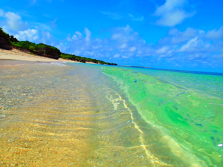 西表島で島旅を楽しもう〜🌴💙