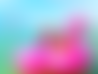 パナリ島・ヨットクルーズ⛵️