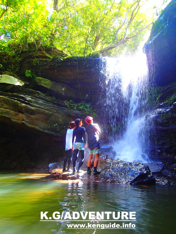 西表ツアーおすすめ人気のSUPでマングローブを漕いでジャングル探検トレッキングで秘境の滝巡り、午後からレッキングで秘境の滝を目指します。大自然のエナジーを体感しよう。石垣島から日帰り参加もOK！です。