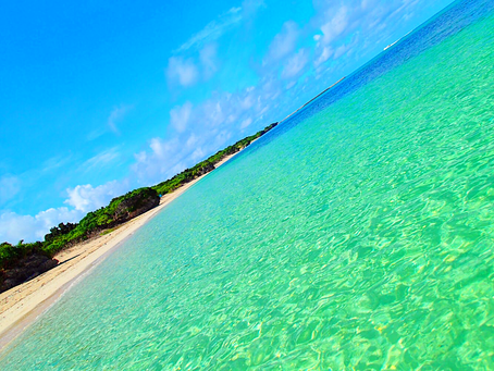 西表島で南国ライフを楽しもう〜🌴💙