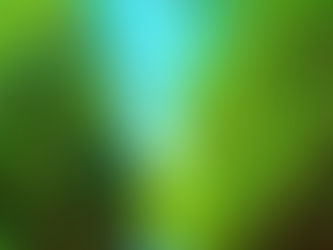 沖縄旅行「西表島・今日のお天気~4/22(fri)」