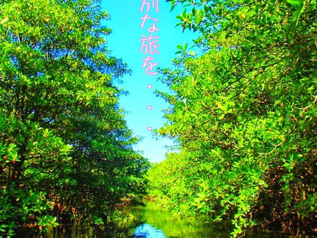 沖縄旅行「西表島・今日のお天気~4/22(fri)」