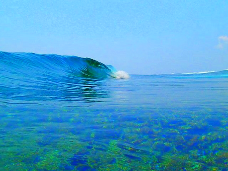サーフィンを楽しもう〜🌊