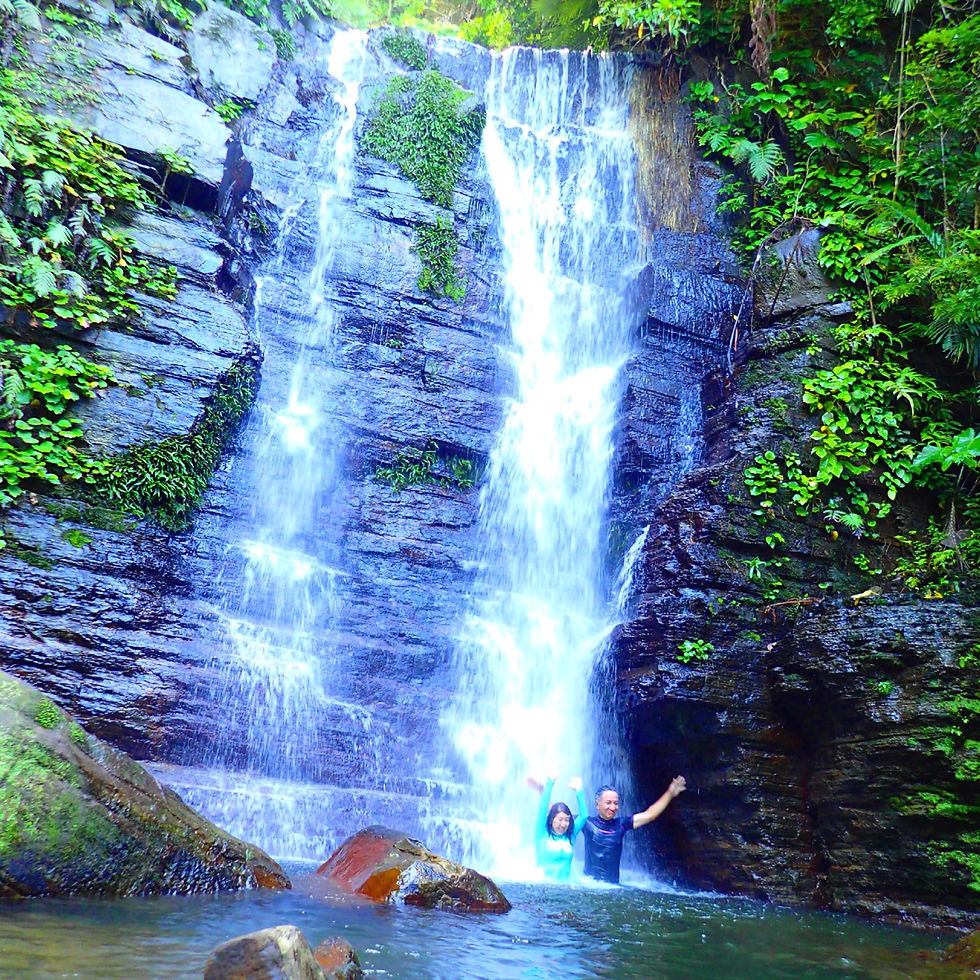 西表島おすすめスポット・ゲータの滝トレッキングツアー