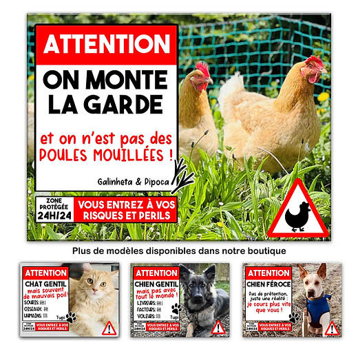 Plaque ou sticker bleu Attention au Chat gentil, maître lunatique 16 cm Plaque ou sticker bleu Attention au Chat gentil, maître lunatique 16 cm