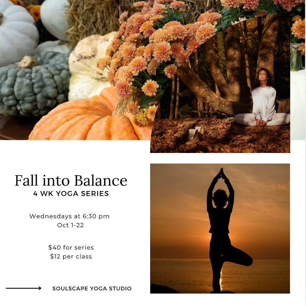 Fall into Balance