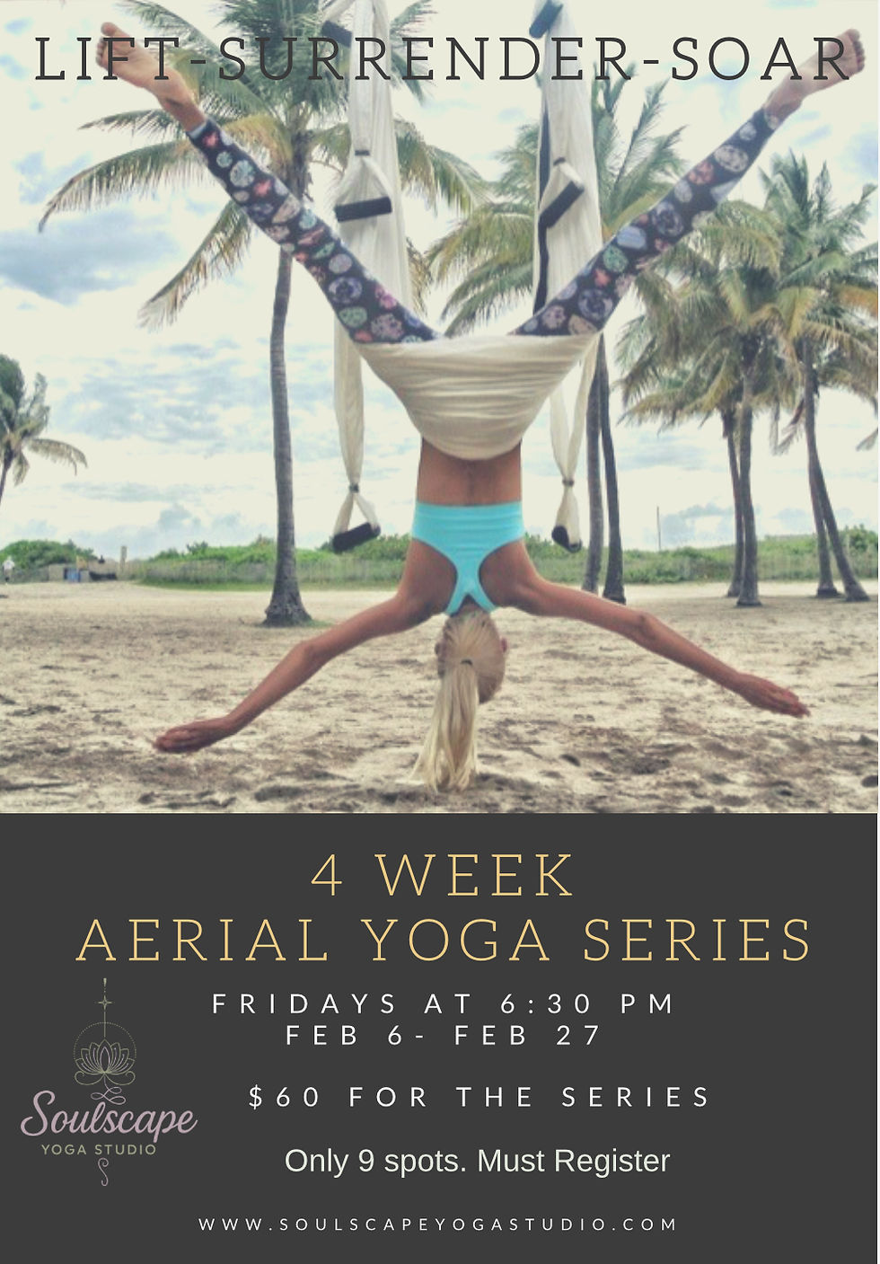 Aerial Trapeze Yoga