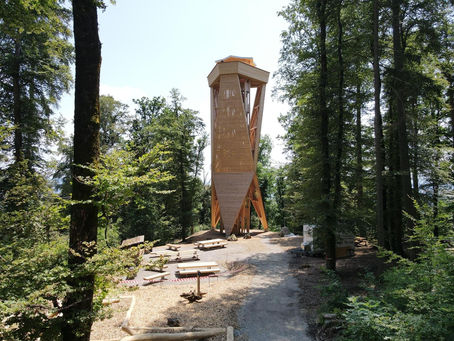02.10.26: Tageswanderung «Ein Berg mit Geschichten» Stadlerberg 637 m ü.M.