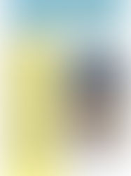 Boletim Informativo N° 2 Publicação Bimensal, Volume No 5/2007 Maio/Junho 2007