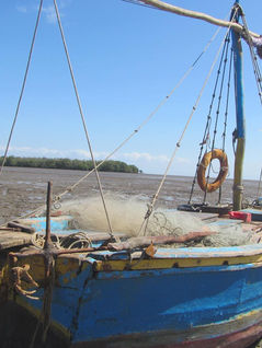 dakdfadsl;fadlskf'aksdf