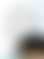 Aumenta o esforço de conservação de tartarugas marinhas ao longo da costa oriental africana