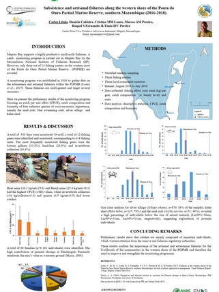 Tagging and Conservation of Marine Turtle in Mozambique: Annual Report 2017/18