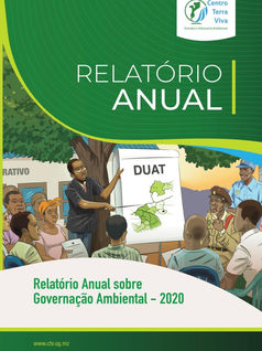 Relatório Anual de Governação Ambiental 2020