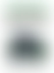 Boletim Informativo N° 1 Publicação Bimensal, Volume No 4/2006 Fevereiro/Março 2006