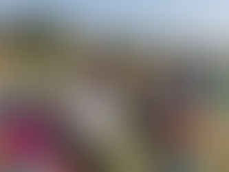 CTV inicia projecto de educação ambiental e promoção de pequenos negócios nas Comunidades da Vil...