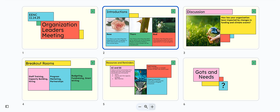 Collaborative Connections: Notes from EENC's Annual Organization Leaders Meeting