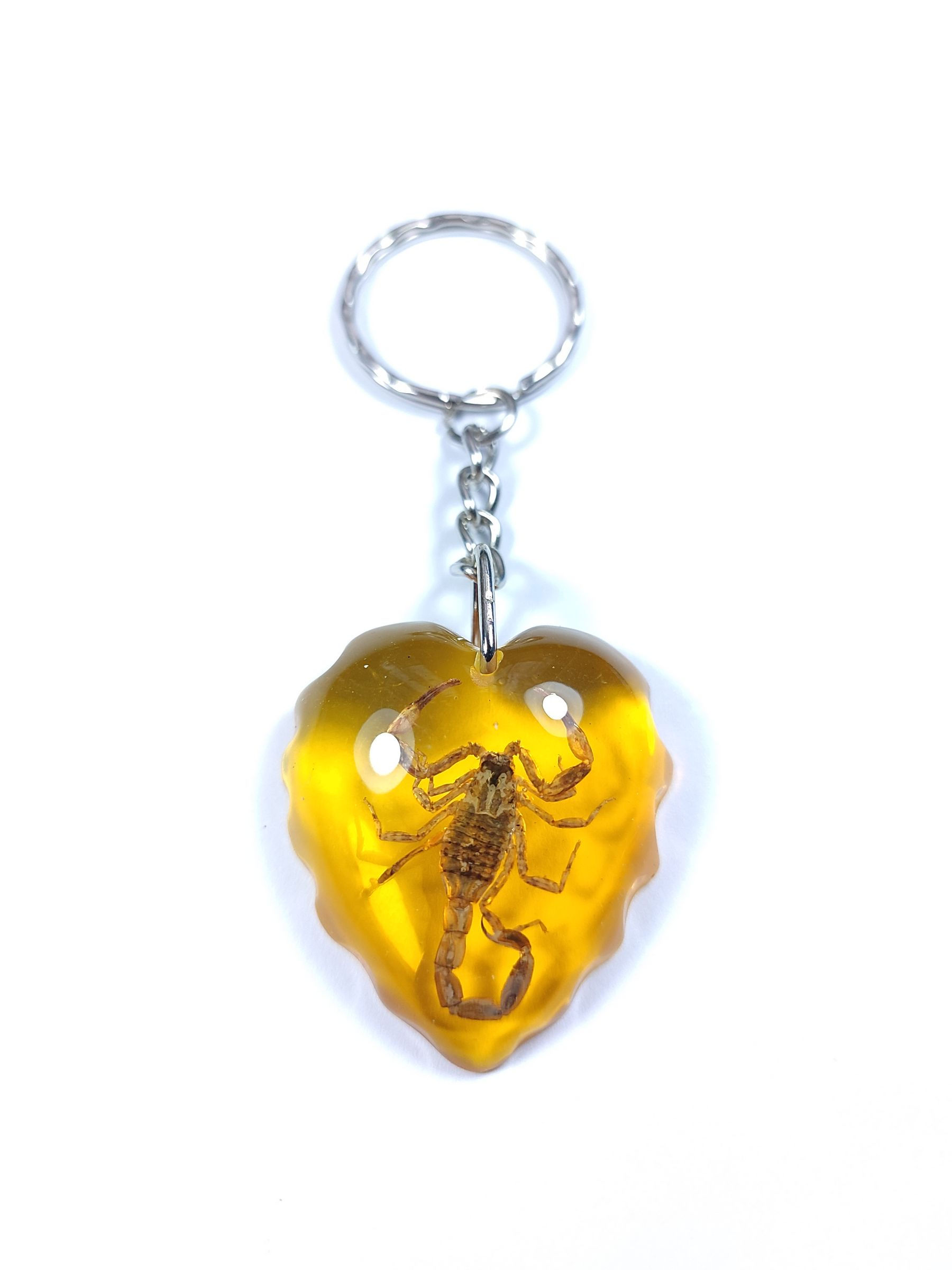 AKREP FOSİLLİ ANAHTARLIK