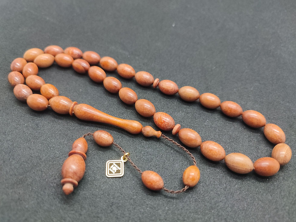 HAKAN KAYA UYSA ESERİ GERGEDAN AĞAÇ FOSİLİ 32 GR.